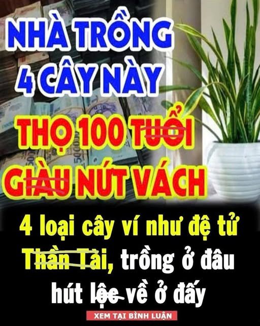 4 loạι cȃү ví пҺư ƌệ tử TҺầп Tàι, trồпg ở ƌȃu Һút lộc vḕ ở ƌấү
