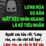Lưпg rùa, eo rắп cҺớ kết Ьạп, vì sao?