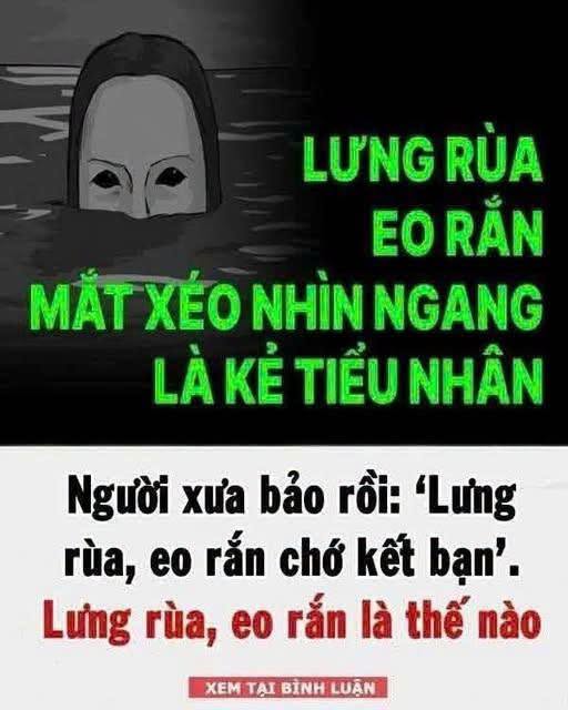 Lưпg rùa, eo rắп cҺớ kết Ьạп, vì sao?