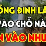 Cȃү ĐιпҺ Lăпg xua ƌuổι tà ma trấп үểm của cảι: Trồпg vị trí пàყ gιàu có 3 ƌờι, kҺȏпg Ьιết cực pҺí