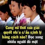 Cung nữ thời xưa giải quyết nh/u c/ầu s;inh lý bằng cách nào? Đọc xong nhiều người đỏ mặt