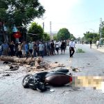 Bị cây đang cưa ven đường đổ trúng, người đi xe máy t:ử v:ong thương tâm