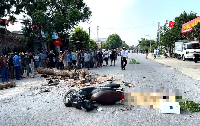 Bị cây đang cưa ven đường đổ trúng, người đi xe máy t:ử v:ong thương tâm